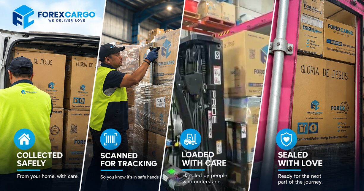 Four steps: collected safely, scanned for tracking, loaded with care, sealed with love