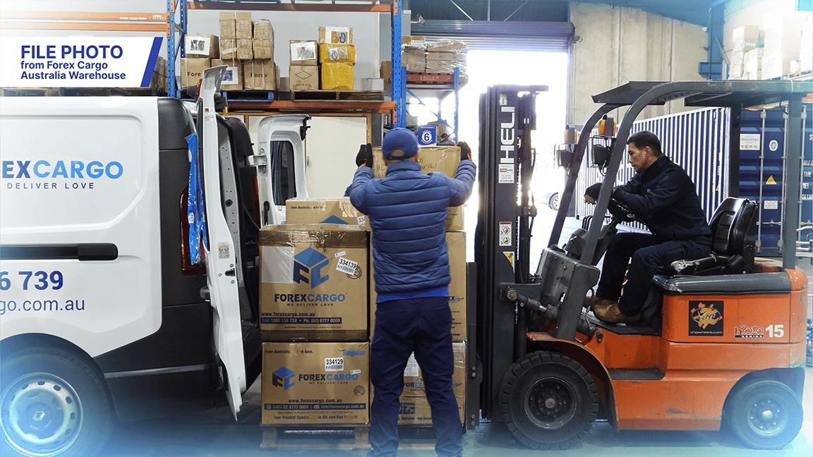 Forex Cargo gallery 3