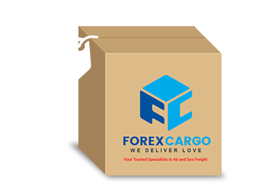 Sea Freight Box Pricelist Forex Cargo We Deliver Love Send - 